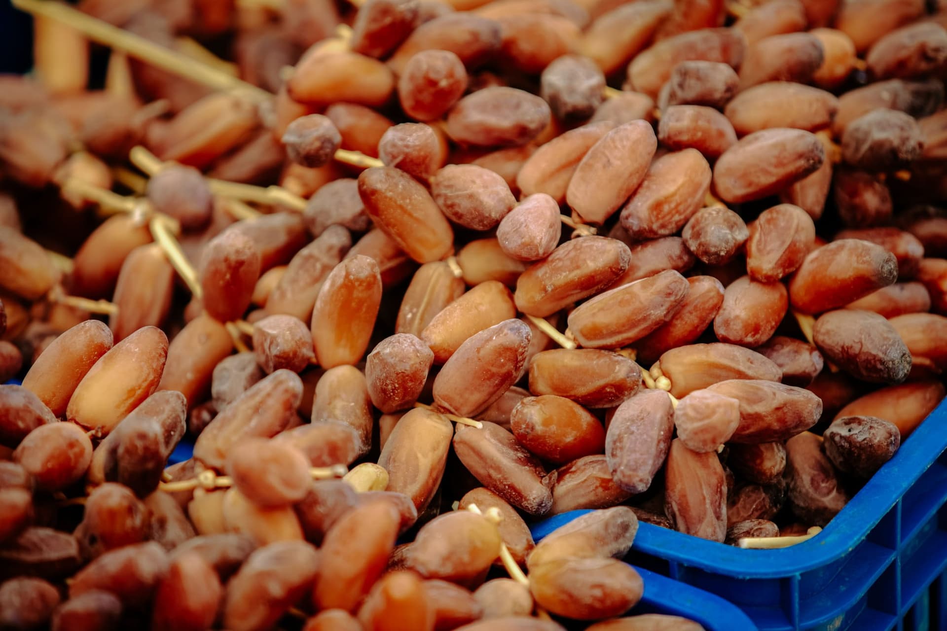 Sukkari dates